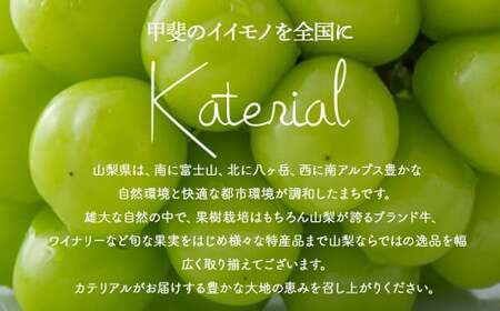 2025年発送 訳あり 約1.5㎏ SDGs シャインマスカット 山梨県産 国産 産地直送 人気 おすすめ 贈答 ギフト お取り寄せ フルーツ 果物 くだもの ぶどう ブドウ 葡萄 わけあり ワケアリ