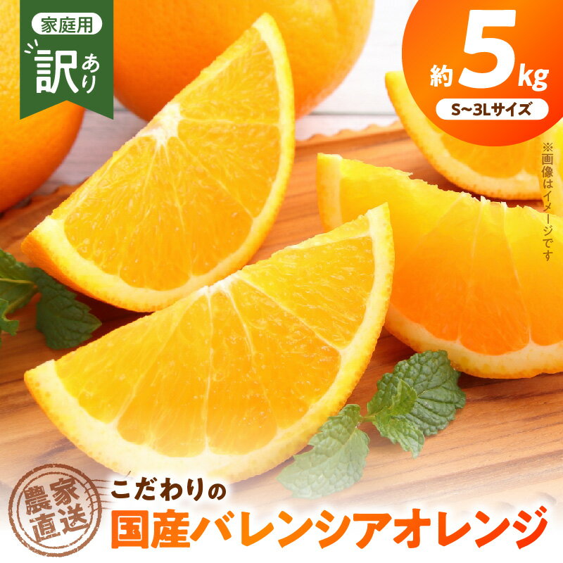 【ふるさと納税】【限定】【2026年先行予約】バレンシアオレンジ【訳あり家庭用】5Kg S～3Lサイズ【バレンシア オレンジ 国産オレンジ 柑橘 和歌山 有田】