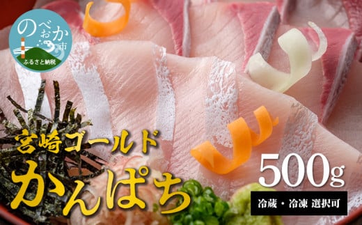 宮崎産 新海屋 鰤屋金太郎 宮崎ゴールドカンパチ 500g　冷凍　N018-ZA463_2