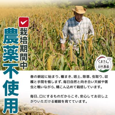 ふるさと納税 北秋田市 雑穀 あわ 計600g(200g×3袋)秋田県 北秋田市産|kgrl-00022 |  | 02