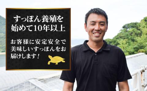 【お中元対象】鍋が料亭級に大変身！？安心安全な国産の最高級食材！江田島すっぽん【切り身】200g 江田島市/平井興産株式会社 [XAC001]