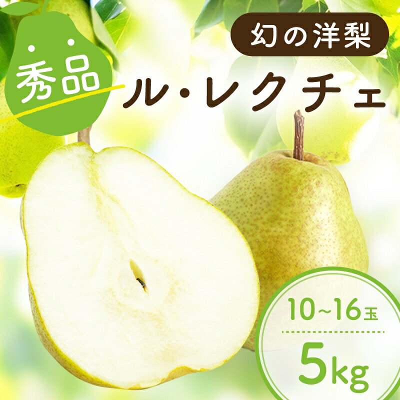 【ふるさと納税】【南信州産】ル・レクチェ　約5kg　秀品 | ル・レクチェ 洋ナシ 洋梨 洋なし 梨 果物 フルーツ ふるさと納税 長野県 飯田市 K31