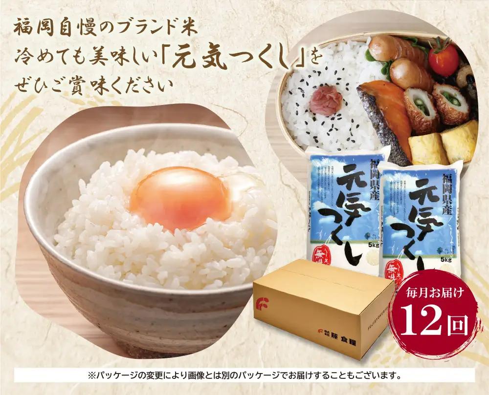 Z17-86 無洗米 元気つくし10kg定期便(毎月・年12回)