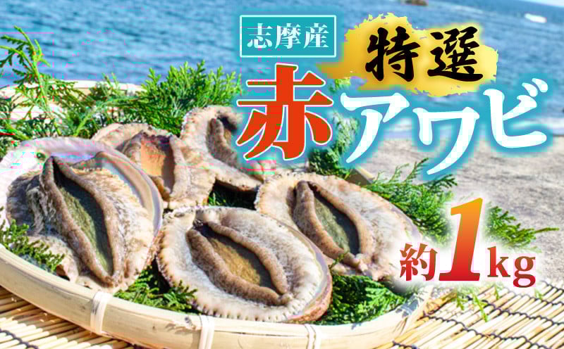 
            天然 アワビ 1kg 赤アワビ 志摩産 冷蔵 新鮮 鮑 伊勢 志摩市 海鮮 魚介 海産物 国産 旬 貝 活 刺身 刺し身 お刺身 限定 夏 バーベキュー BBQ 三重県 伊勢志摩 伊勢志摩 期間限定 夏季 夏 お中元 お取り寄せ グルメ 人気
          