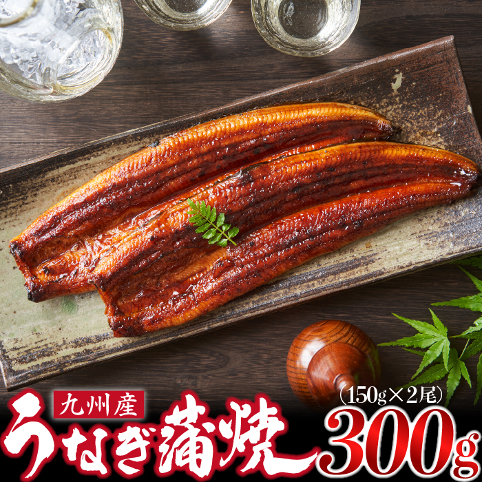 ＜いろは＞うなぎ蒲焼 国産 150g × 2尾 (有頭) 　[M685-2] ウナギ 鰻 炭火焼き ふっくら 肉厚 うな重 ランキング 土用の丑の日 鹿児島県 人気 オススメ 宮若市