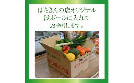 【ふるさと納税】＜はちきんの店 野菜 セット 7～10品＞ 野菜詰め合わせ 詰合せ 高知の野菜 旬の野菜【冷蔵】高知県 佐川町