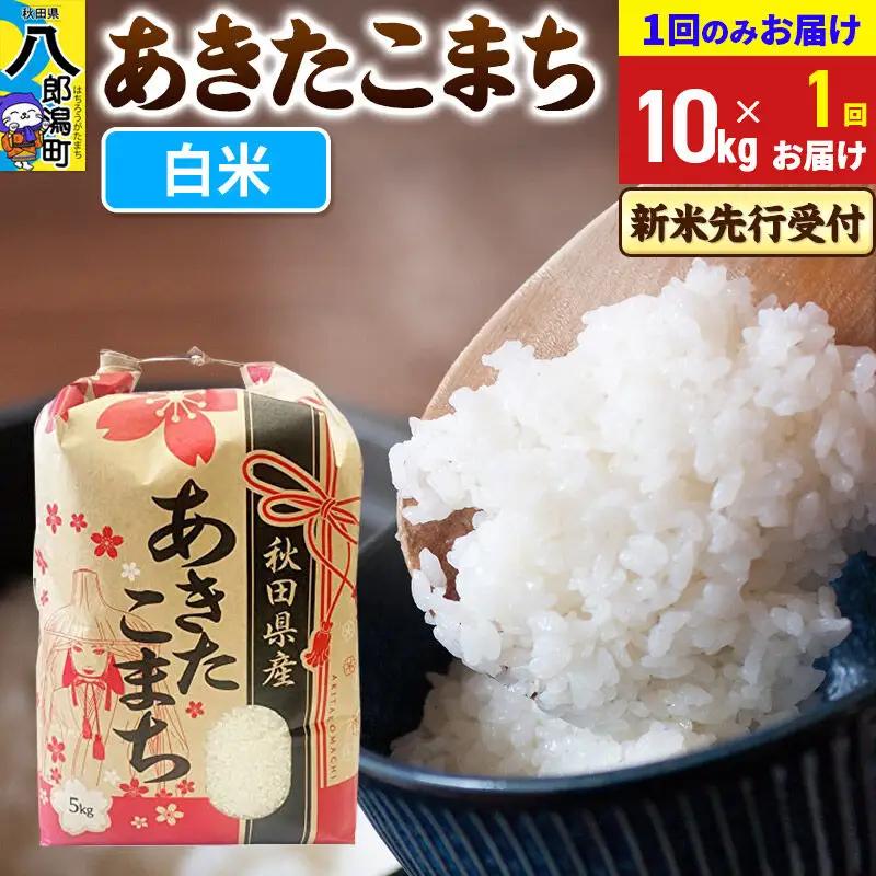 《令和8年産 新米受付》あきたこまち 精米 10kg 秋田県産 こまちライン