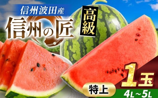 【先行予約】信州波田産 高級スイカ！信州の匠 【特上】 4L～5Lサイズ 1玉｜ふるさと納税 長野県 信州 松本 果物 フルーツ すいか スイカ 西瓜 新鮮 大きい 特別 贈答 季節限定 甘い くだもの ふるーつ