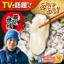 【ふるさと納税】牡蠣 むき身 冷凍 かき カキ うまさがちがう！ (冷凍) 大粒 かき 鍛え牡蠣 むき身 Mサイズ（冷凍）計3kg 人気 海鮮 BBQ 簡単 レシピ ギフト 江田島市/有限会社寺本水産 [XAE023]