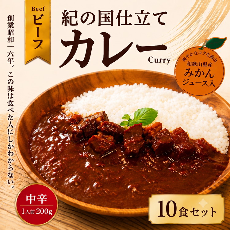 紀の国仕立て カレー （ビーフ） 10食 中辛 1人前200g (A672-1) 