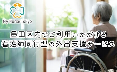 看護師同行 外出支援サービス 6時間コース 介護旅行 医療従事者 看護師 チケット 