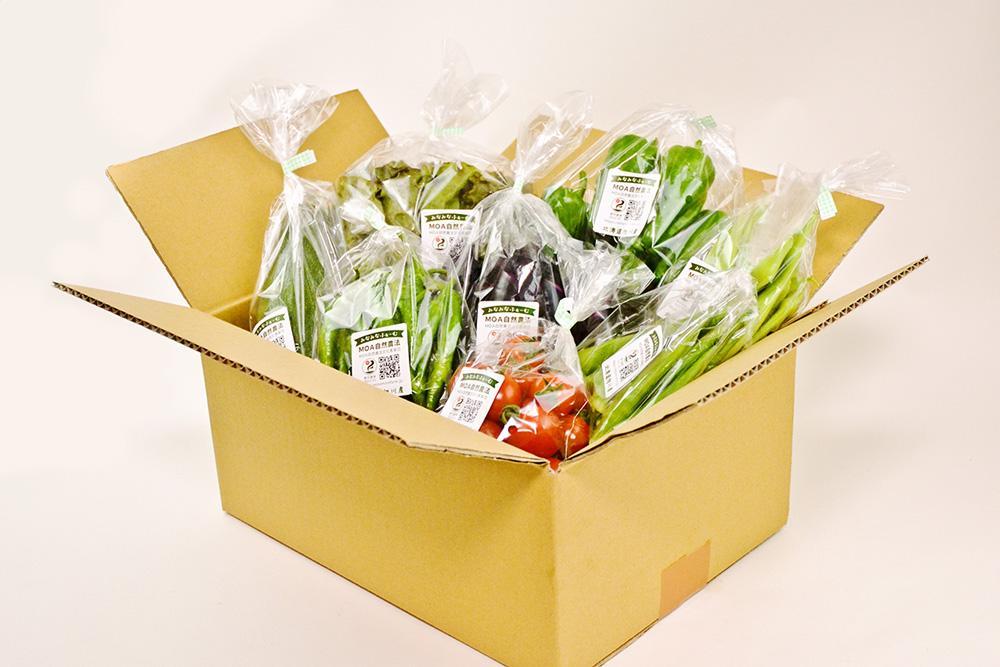 7・8・9・10月　計4回定期便　北海道産旬の無農薬栽培　野菜の詰め合わせ6～8種類 【 サニーレタス 水菜 チンゲンサイ さやえんどう スナップエンドウ さやいんげん ささぎ豆 春大根 ズッキーニ 