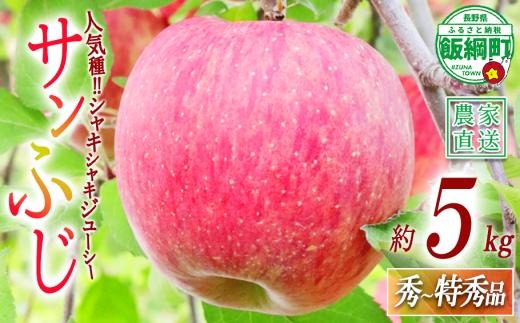 りんご サンふじ 秀 〜 特秀 5kg 大友農場 エコファーマー認定  2026年12月上旬頃から2026年12月中旬頃まで順次発送予定 令和8年度収穫分 信州 果物 フルーツ リンゴ 林檎 長野 予約 農家直送 長野県 飯綱町 [1386]