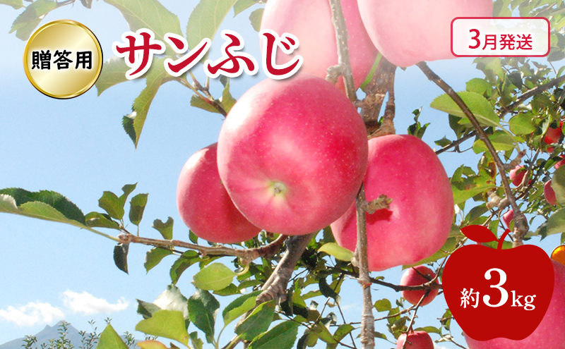 
                  [№5554-0238]りんご 【 3月発送 】糖度13度～ 贈答用 サンふじ 約 3kg
                
