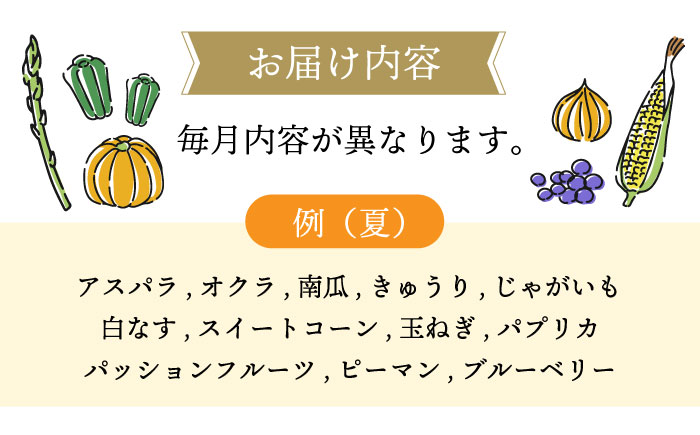 【9回定期便】シュシュの直売所から野菜・果物定期便コース 大村市 おおむら夢ファームシュシュ [ACAA166]