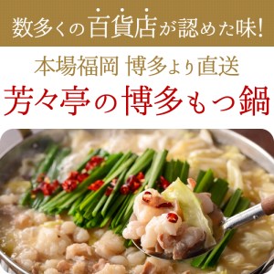 博多芳々亭　博多もつ鍋　5人前（味噌味）_KYY1404