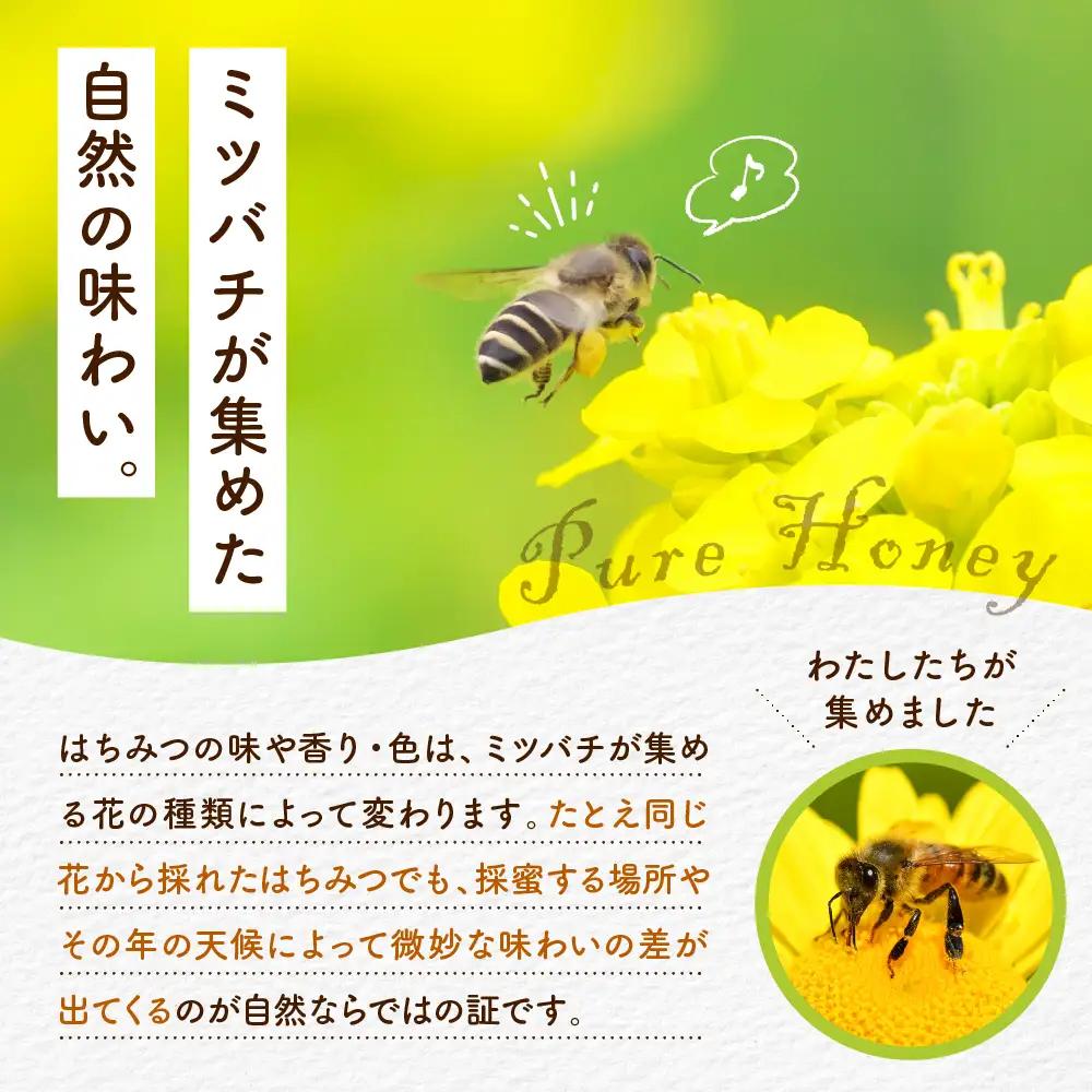 【2026年8月発送】はちみつ【千代田町の蜂蜜】500g「とち」はちみつ