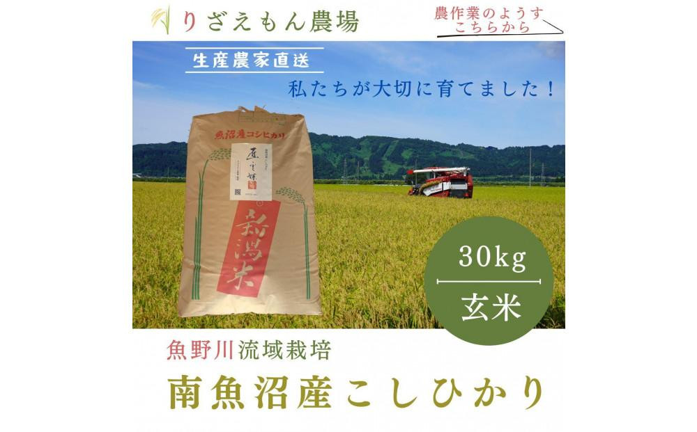 
            【令和7年産新米予約受付】玄米30kg　南魚沼産　コシヒカリ　こしひかり　魚野川流域　匠 雲蝶(たくみ　うんちょう）＼生産農家直送／【2025年10月上旬より順次発送予定】
          