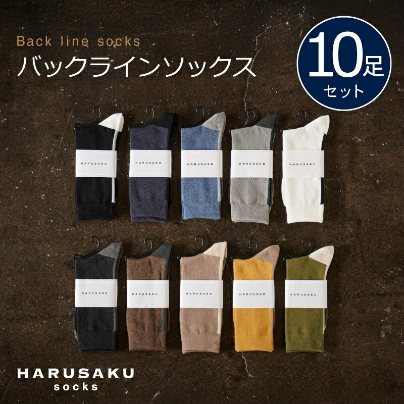【ふるさと納税】HARUSAKU バックラインソックス 10足セット（23〜25cm / 25〜27cm / 27〜29cm） ／ ハルサク 靴下 メンズ 奈良県 葛城市