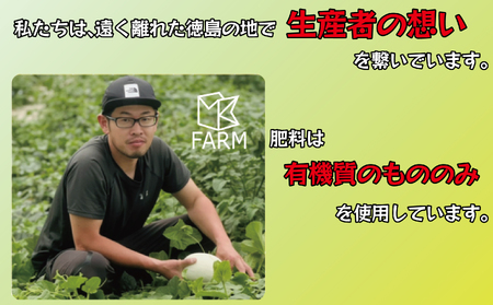 メロン 3kg 3玉 クールボジャ 希少種 メロン