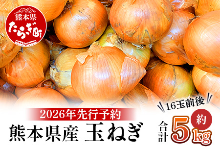 【先行予約】熊本県産 玉ねぎ 5kg (16玉前後) ≪2026年4月下旬から順次発送≫ 玉葱 野菜 数量限定 JAS たまねぎ オニオン 甘い ハンバーグ 肉じゃが 065-0636