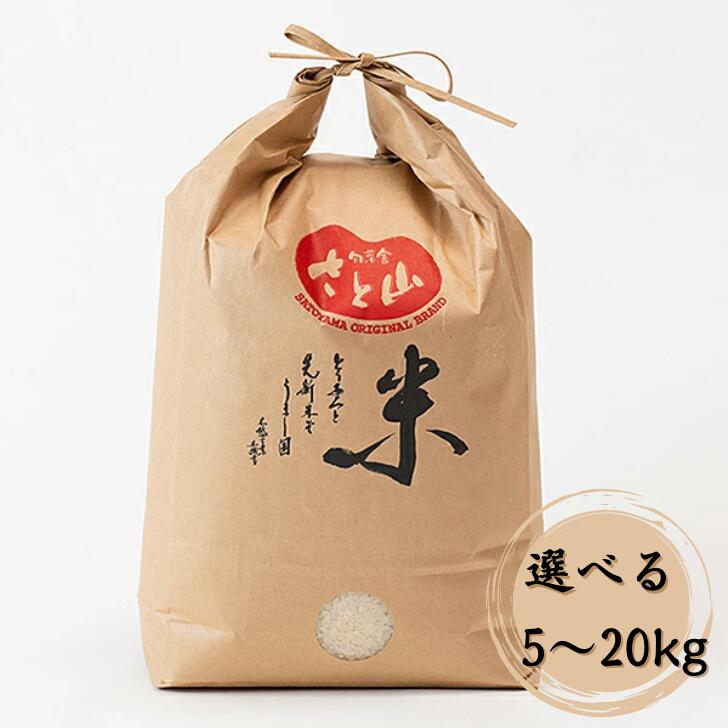 【ふるさと納税】【先行予約】令和7年産　佐賀市三瀬村産「コシヒカリ」5kg：B170-025