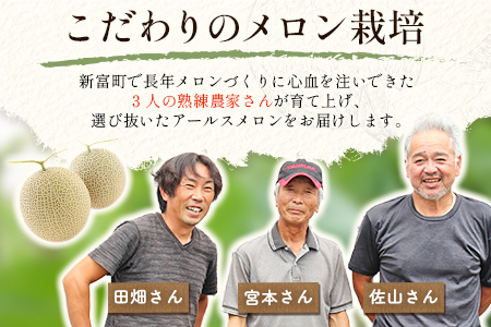 2026年11月～12月出荷 大玉プレミアムアールスメロン 4L2玉 計3.8kg以上 C331-01