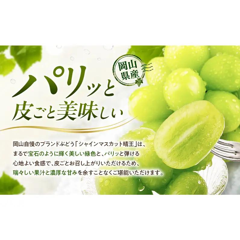 ぶどう 2026年 先行予約 定期便 シャインマスカット 晴王 2房 約1.4kg 9月・10月 2回発送 岡山県産 種無し 皮ごと食べる みずみずしい 甘い 瀬戸内 晴れの国 おかやま 果物大国 満