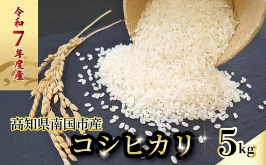 令和7年度 南国市産 コシヒカリ 白米 5㎏ | 数量限定 米 コメ お米 ご飯 おにぎり こめ 弁当 高知県 南国市 AH003