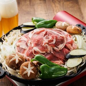 【毎月定期便】連続12回 ラム肉 スライス 100g×10パック(合計1kg) 味付き 羊肉全12回【配送不可地域：離島】【4068003】