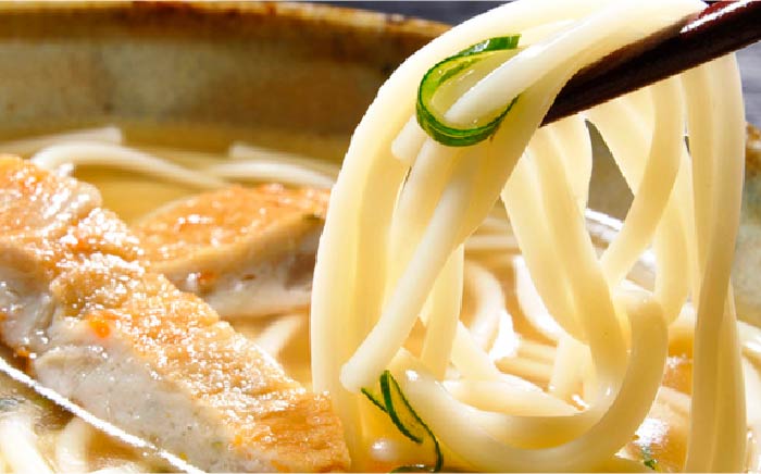 【全6回定期便】練ト麺 (ねりとめん) 五島うどん 練り物 計54点 【しまおう】 [PAY021]