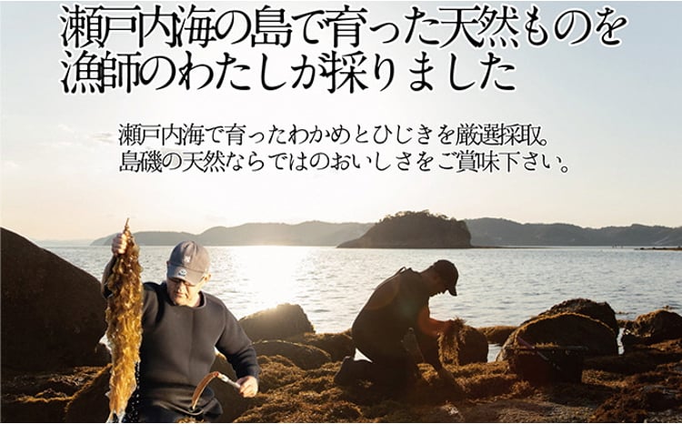 瀬戸内で採れた島磯香る わかめ 22g×3袋と ひじき 28g×3袋 セット【岡山 瀬戸内海 鉄釜炊 天然】
