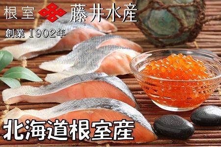 [12月21日決済分まで年内配送]【北海道根室産】[鮭匠ふじい]鮭・いくら詰合せ A-42064