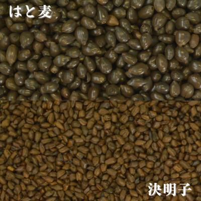 ふるさと納税 佐賀県 健康はと麦茶 231g(11g×21P)6本セット(合計126パック)[A15703-08](佐賀県 |  | 02