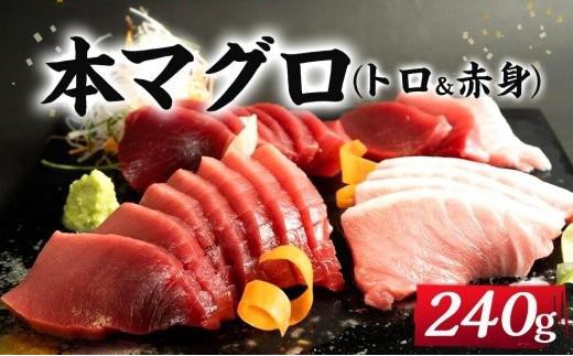 
プレミア和歌山認証品 本マグロ（養殖）トロ＆赤身セット　240g
