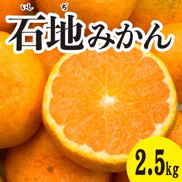 みかん 柑橘【先行受付】【2026年12月以降発送】糖度が高く濃厚！ 石地みかん ＜約2.5kg＞ 広島 三原 佐木島 鷺島みかんじま 017041