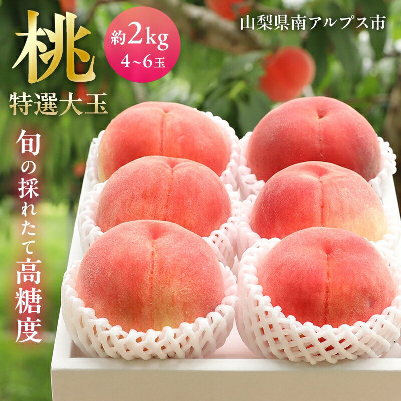 【ふるさと納税】 5-97 南アルプス市産高糖度　特選大玉桃 約2kg【5〜6玉】 ふるさと納税 おすすめ 山梨県 南アルプス市 送料無料 ALPAH023
