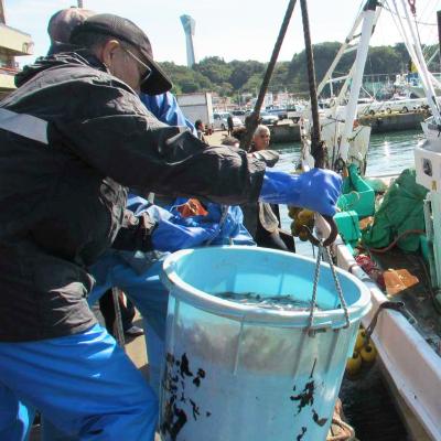 ふるさと納税 いわき市 いわき市の魚　めひかりの干物　24尾 |  | 03