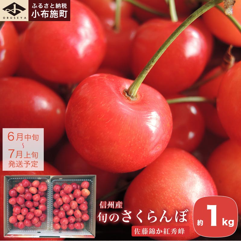 【ふるさと納税】旬のさくらんぼ 佐藤錦 か 紅秀峰 約1kg［小布施屋］サクランボ くだもの 果物 フルーツ チェリー バラ詰め 長野県産 信州産 数量限定 令和7年産【2025年6月中旬～7月上旬発送】