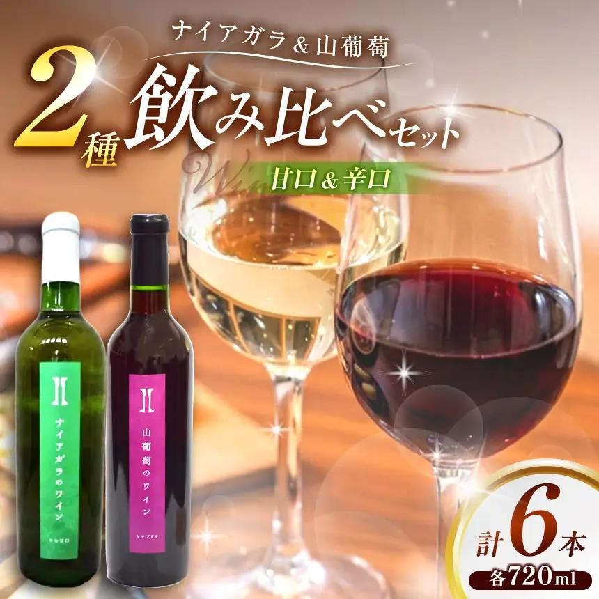伊那ワイン工房 ワイン６本セット（ナイアガラと山葡萄のワイン）【041-05】