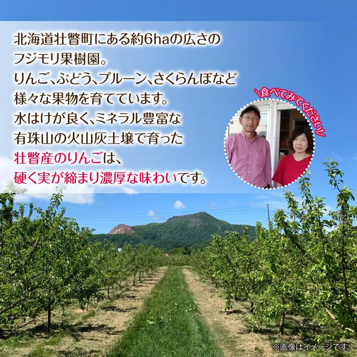 【ふるなびWEEK対象】【先行予約】＜2026年12月上旬よりお届け＞北海道壮瞥町　【訳あり】りんご　品種名「サンふじ」約10kg SBTF030