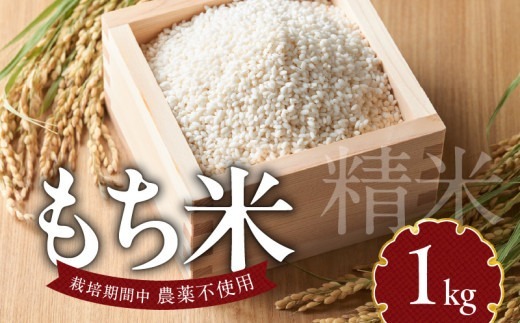 もち米1kg N0182-YA0474