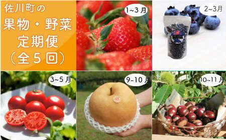 【ふるさと納税】＜佐川のフルーツ・野菜 定期便（全５回）＞高知県 佐川町 いちご 冷凍ブルーベリー フルーツトマト 梨 夢甘栗 生栗 果物