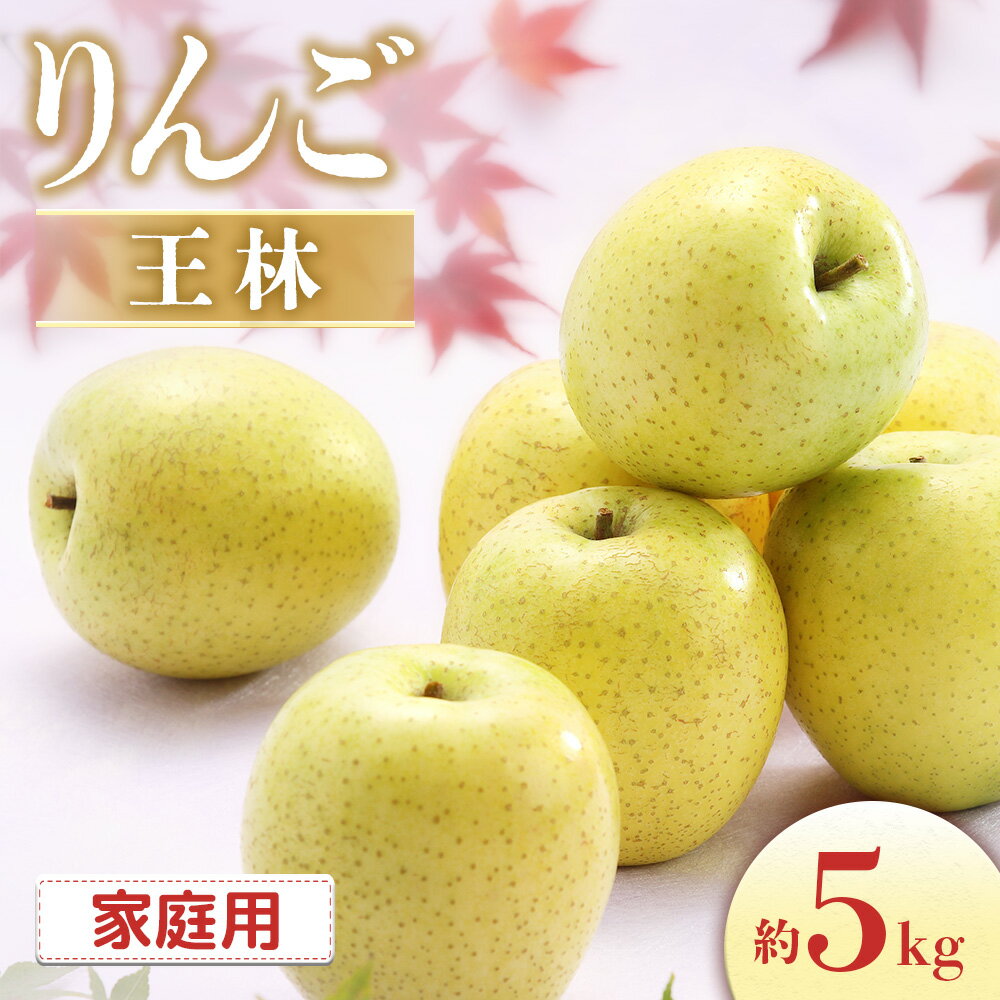 【ふるさと納税】＜先行予約＞りんご 王林＜ご家庭用＞[10〜18玉]　※2025年10月中旬〜11月上旬発送※