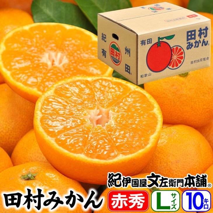 V7442_田村みかん／特選ギフト品10kg【Lサイズ】赤秀