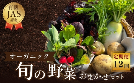 定期便 12回野菜  オーガニック おまかせ野菜セット 野菜野菜野菜野菜 定期便