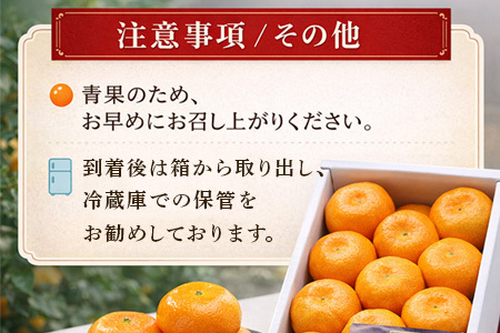 『先行予約』【令和8年7月上旬より順次発送】【全国出荷量1位】佐賀県ハウスみかん 1.8kg 高級甘熟みかん 果物フルーツ 柑橘