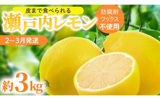 瀬戸内レモン 約3kg (30個程度) 防腐剤・ワックス不使用 皮まで食べられる 【 2027年2月～3月発送 】 完熟 イエローレモン レモンサワー  西田農園 柑橘 フルーツ 果物 檸檬 送料無料 産地直送 ギフト