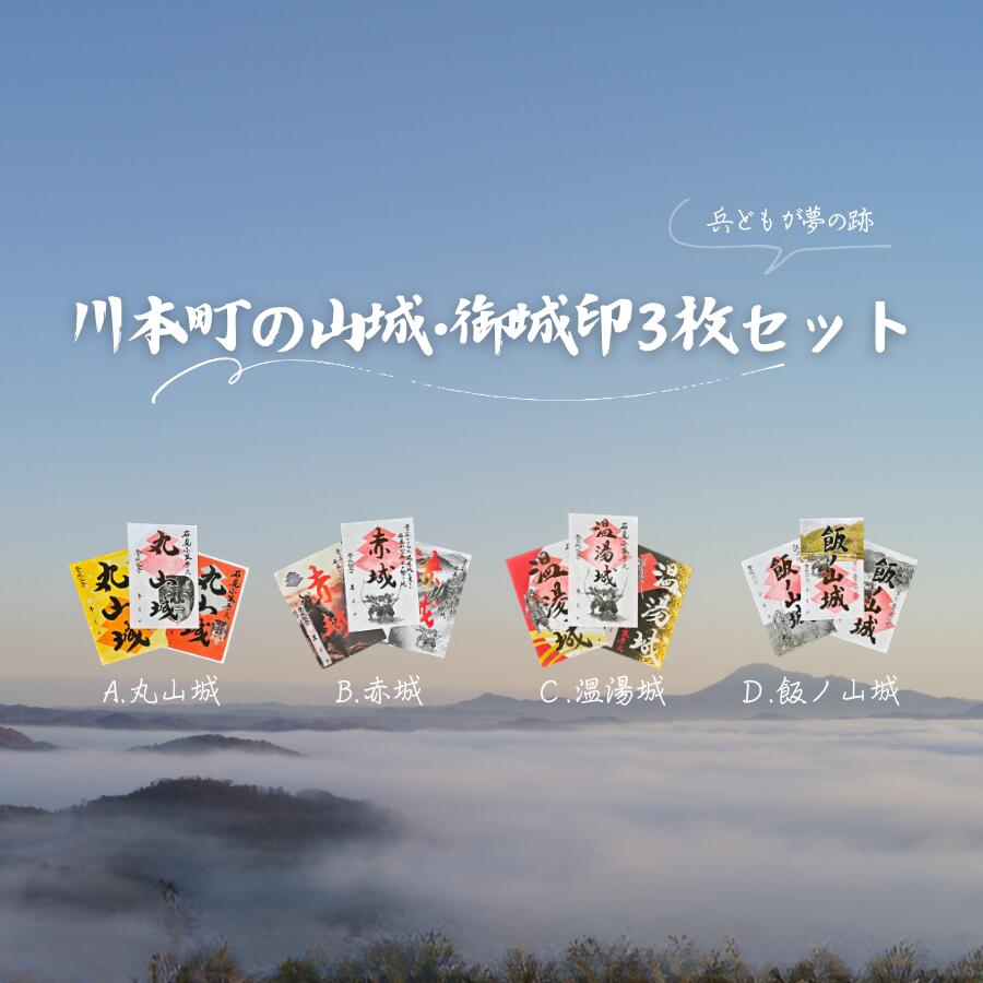 【ふるさと納税】川本町の山城・御城印3枚セット