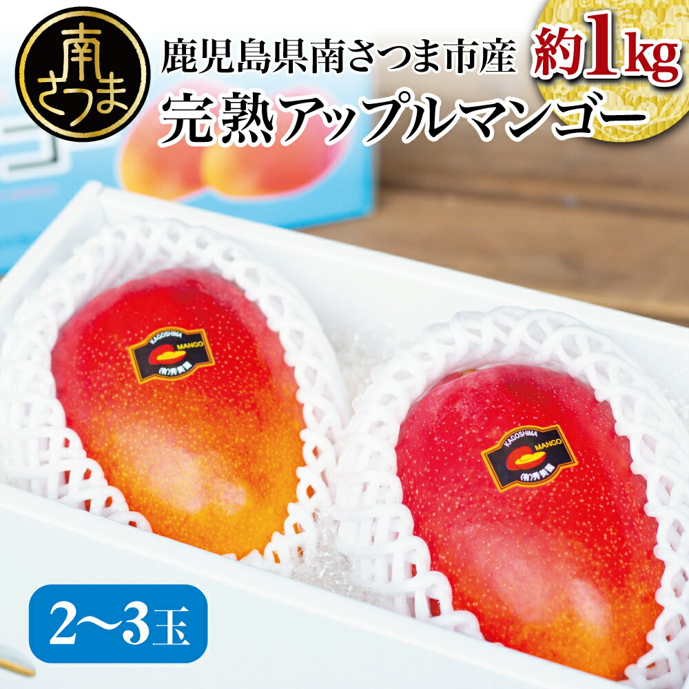 【ふるさと納税】＜7月上旬頃出荷開始＞鹿児島県産 完熟アップルマンゴー 約1kg（2～3玉） 贈答品用 ギフト 果物 フルーツ先行予約 国産 鹿児島県南さつま市産 有限会社秀美園 送料無料